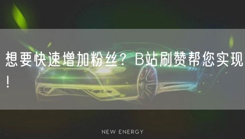 想要快速增加粉丝？B站刷赞帮您实现！